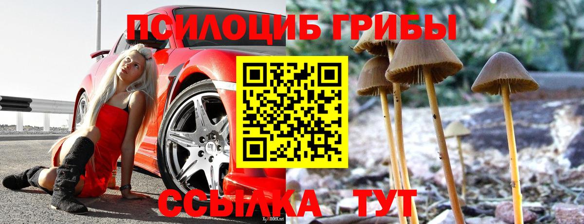 Будённовск  Псилоцибиновые грибы мухоморы  Вход с VPN 
