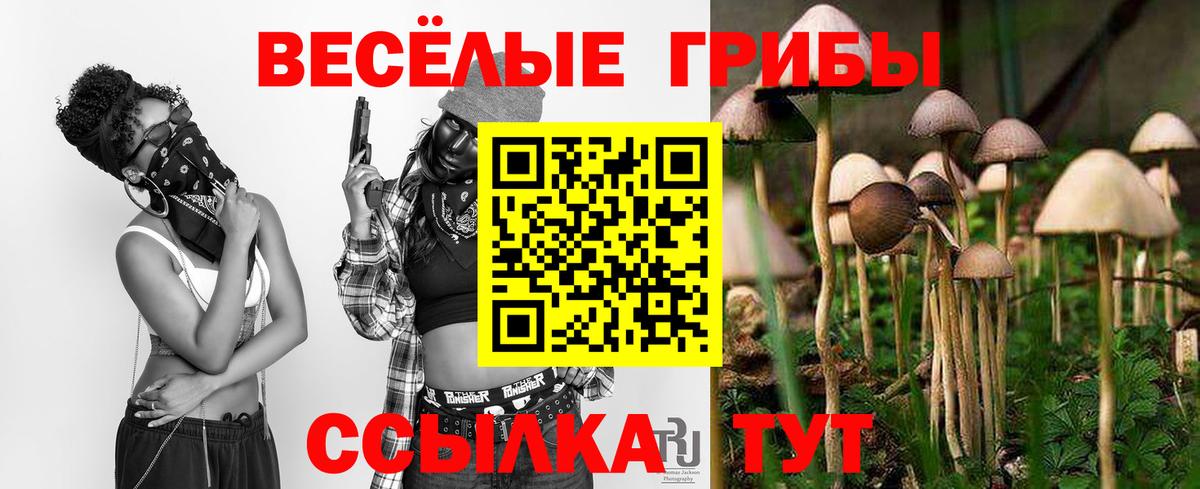 Галлюциногенные грибы Psilocybine cubensis Будённовск